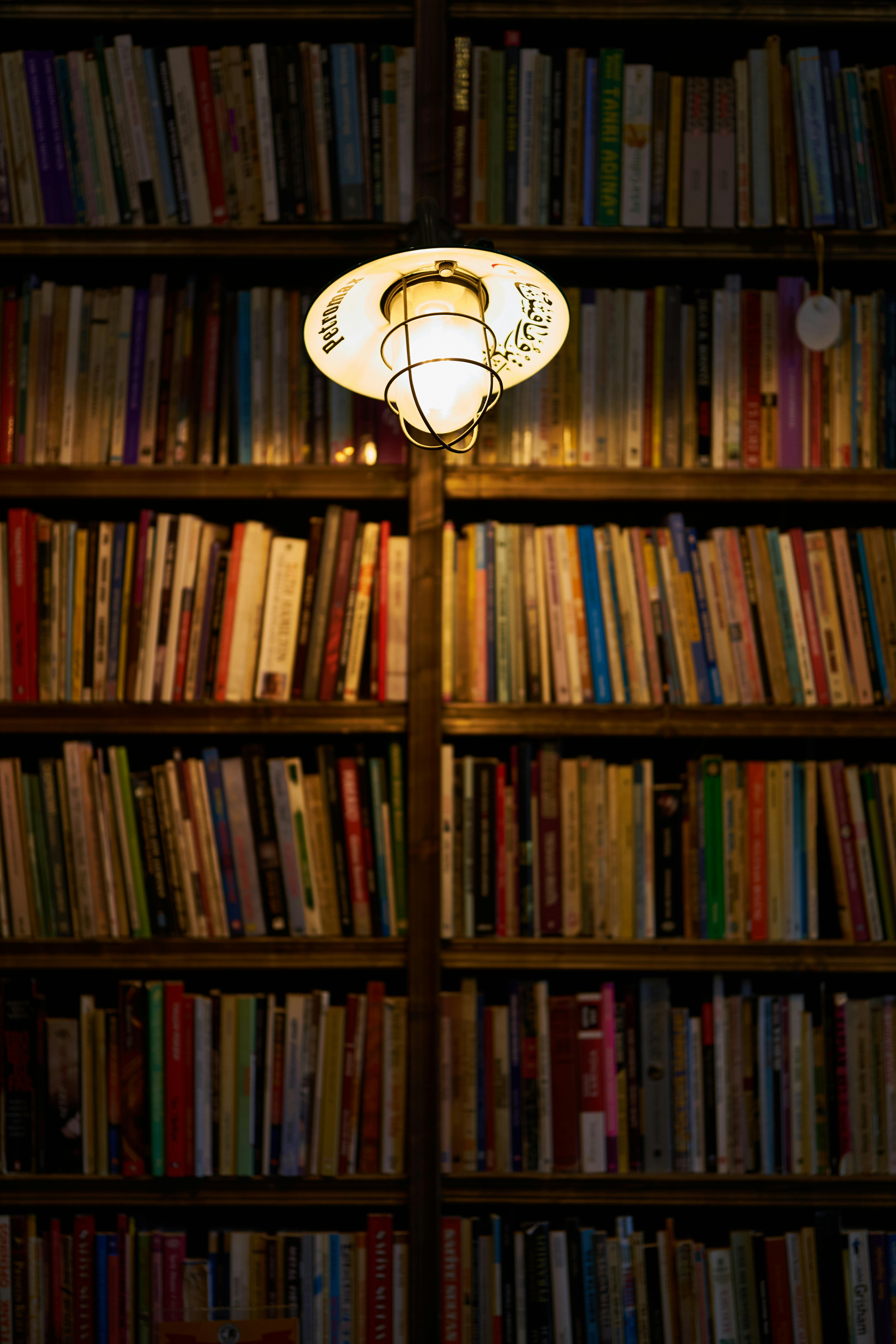 Ornate library interior bathed in soft light