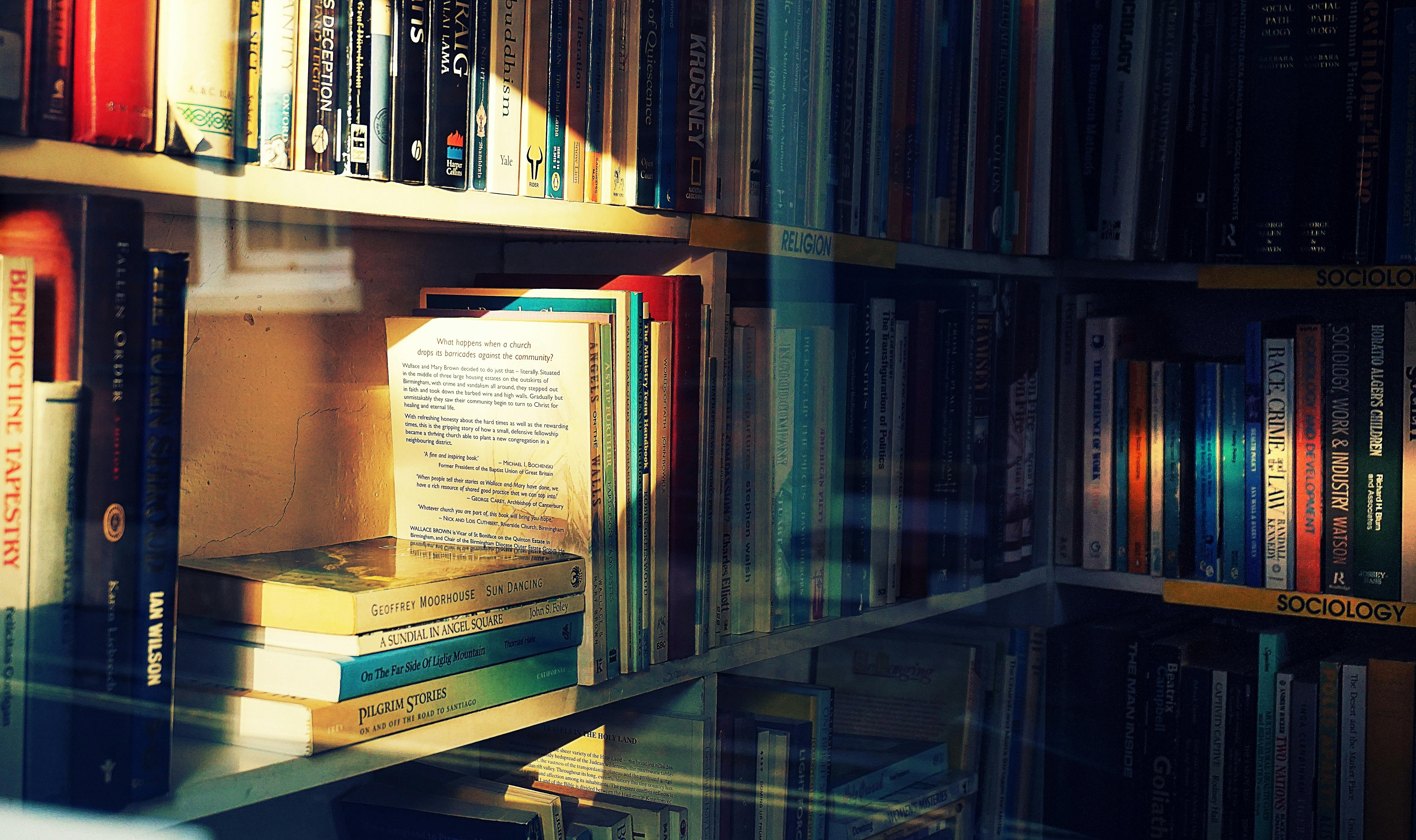 Books in sunlight